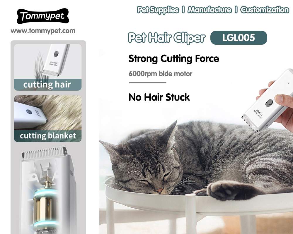 Usando melhores cortadores de cabelo preparação profissional gato vácuo com segurança