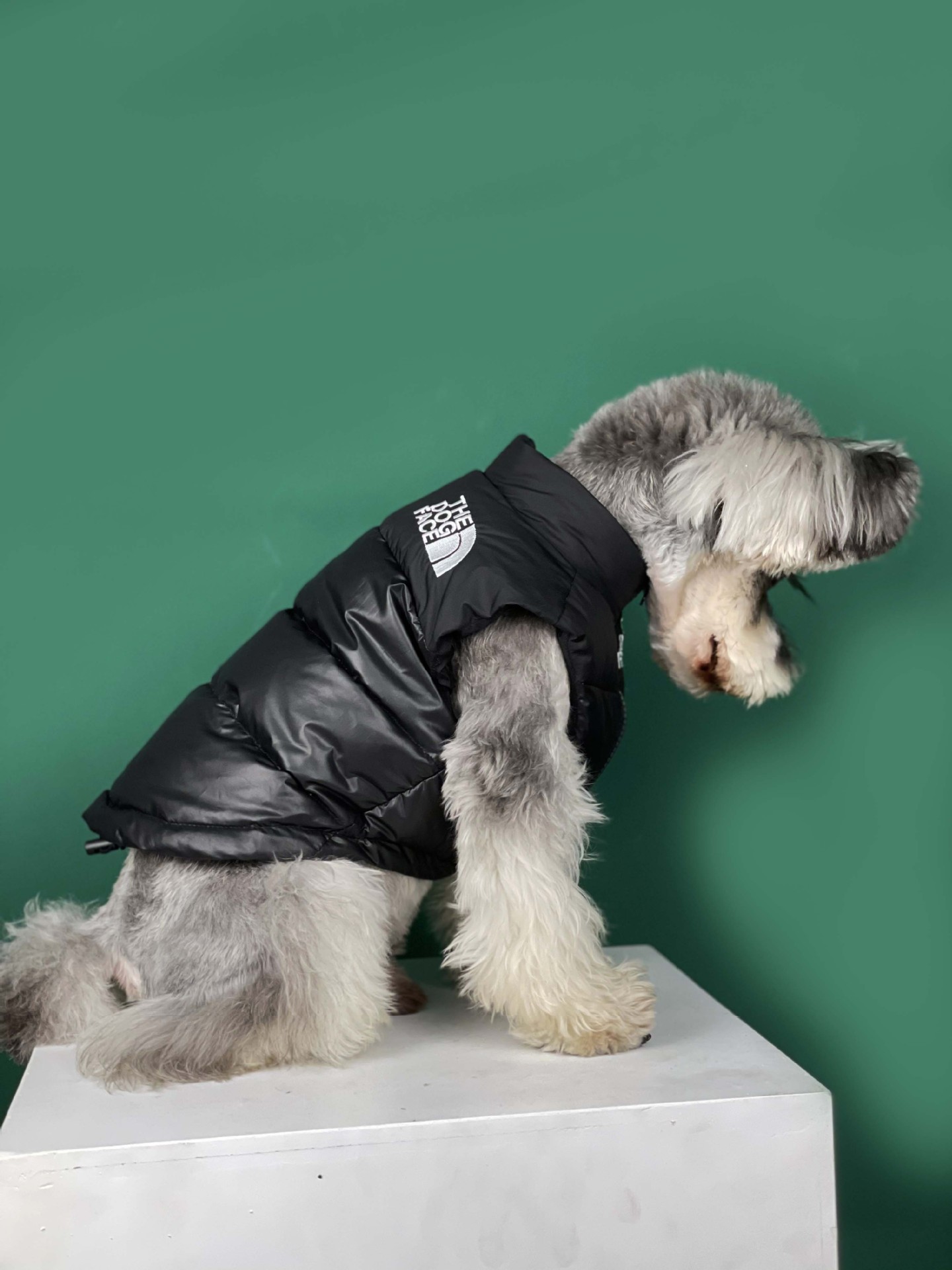 Casaco de penas impermeável para cachorro de estimação de inverno quente de luxo parkas colete acolchoado roupas para cães