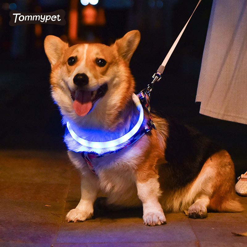 Carregamento USB ajustável de borracha brilhante na noite gato filhote de cachorro seguro luminoso piscando colar luzes LED coleiras de animais de estimação
