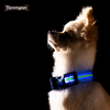 2021 Night Safety Piscando Glow In The Dark À Prova D 'Água Refletiva Nylon Pet LED Coleira Dog