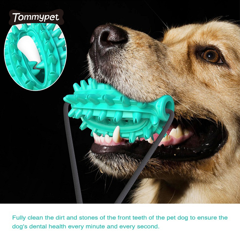 Bolas dentadas de borracha para animais de estimação de alta qualidade moagem de dentes única xícara de sucção brinquedos para cães mastigáveis