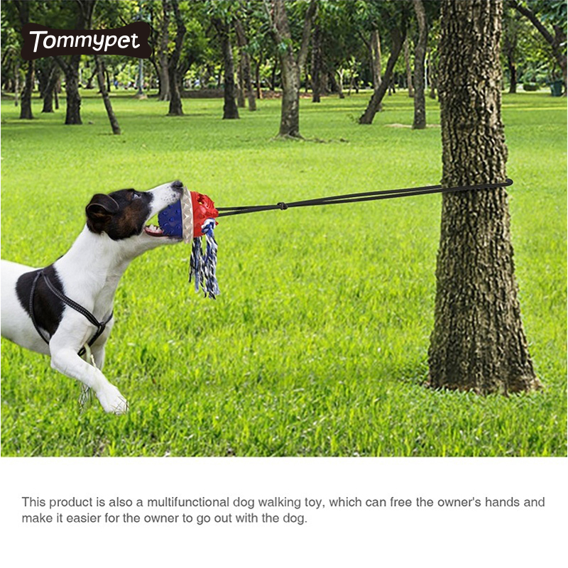 Amazon Best Sale Resistente a mordidas Color Training Pile Dog Mastigar Toy Escova de dentes de silicone Dentes Clean Stick brinquedos personalizados para animais de estimação